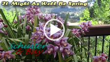 It Might as well be Spring - video